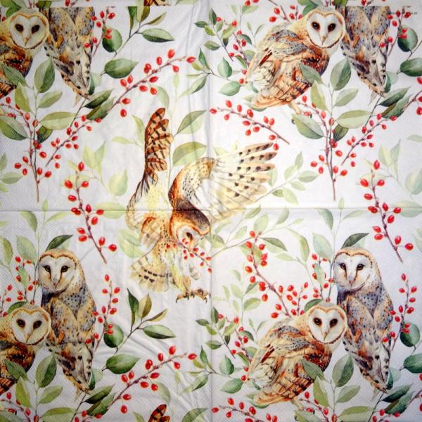 116 Owls - ply - Kalamazoo - CS - 24x24cm